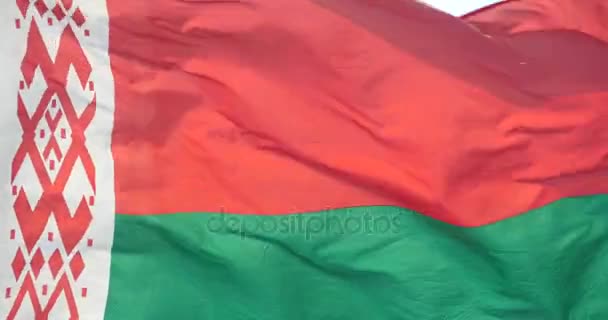 4 k Beyaz Rusya bayrağı rüzgârda çırpınıyor. — Stok video