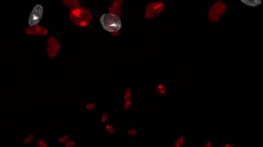 4 k taşlar elmas takı kristal değerli taşlar, zengin mineral zenginlik para.