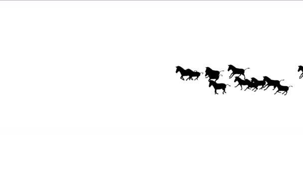 4 k グループ馬ロバ動物シルエット移行を実行、アフリカの草原の自然. — ストック動画
