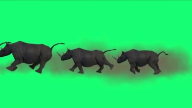 4k toz, Afrika otlaklar doğa hayvan göç ile çalışan Rhino sürüsü.