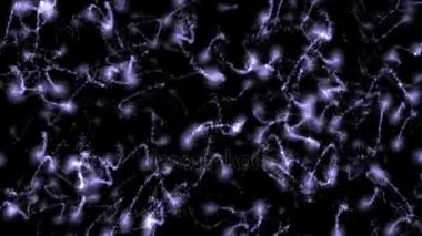 4 k soyut parçacıklar havai fişek, mikrop bakteri sporları sperm, Mikro nano iyonları.
