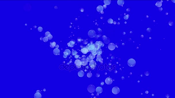 Geyser della goccia di pioggia della goccia di acqua 4k, particelle liquide della goccia della goccia dell'acqua della bolla . — Video Stock