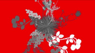 4 k yemyeşil çiçek bitkileri büyüyen otlar çalılar çalılar bitki yaprakları.