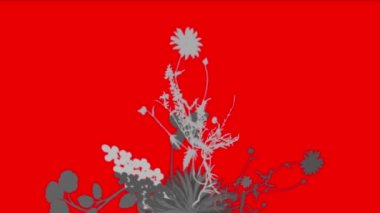 4 k yemyeşil çiçek bitkileri büyüyen otlar çalılar çalılar bitki yaprakları.