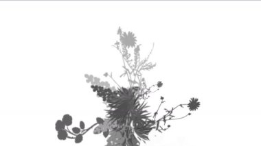 4 k yemyeşil çiçek bitkileri büyüyen otlar çalılar çalılar bitki yaprakları.