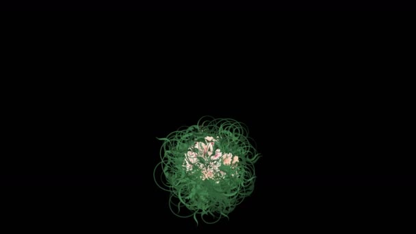 4k Метелик пишна квіткова пелюстка листя культури кущі вирощування трави . — стокове відео