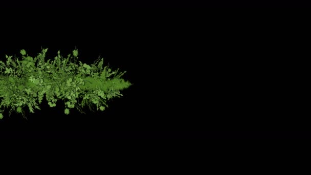 4 k 緑豊かな花葉低木の茂みの植物の草の成長作物. — ストック動画
