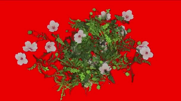 4k exuberante flor pétala folhas culturas arbustos arbustos planta grama crescente fundo . — Vídeo de Stock