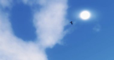 4k kartal uçan üzerinde güneş ışığı, güneş ışınları ve güneş patlaması, bulut, cennet sahne.