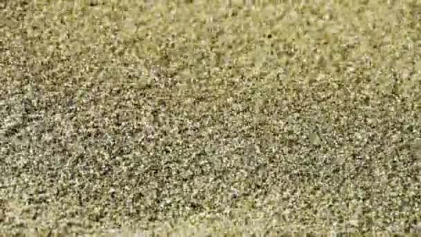 Sand,wind blow sand particles on beach. — Stock Video