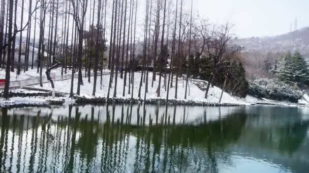 Reflejo del bosque en agua, ondulación, nieve . — Vídeo de stock