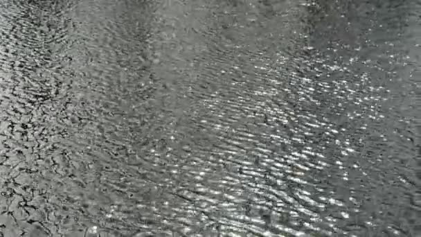Fond de surface du lac mousseux . — Video