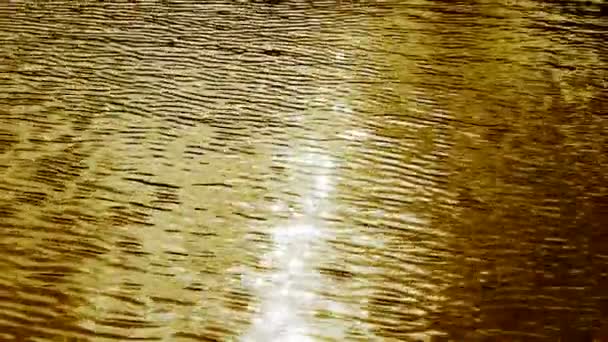 Fundo de superfície do lago espumante . — Vídeo de Stock