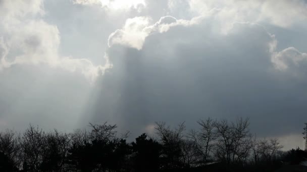 Hoge wolken dekken zon hemel, takken, bomen, bossen, silhouet. — Stockvideo