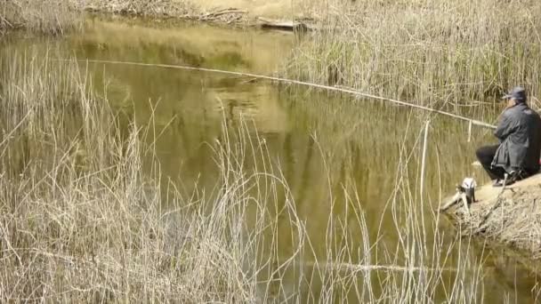 China-Abr 22,2017: Pescador pescando junto al lake.river cañas en el viento, sacudiendo wilderness.elderly, le — Vídeos de Stock