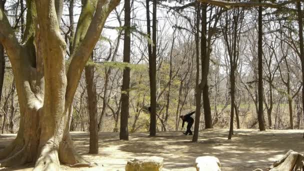 China-Abr 22,2017: Ejercicio en el bosque de pinos. Thick trunk.leisure, oriental, sport, people . — Vídeos de Stock