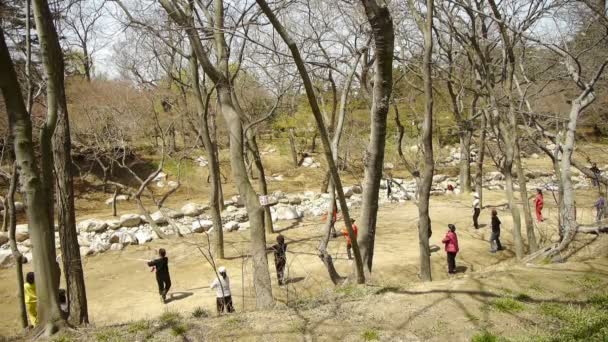 China-Apr 22, 2017:Gymnastics oefening in forest.leisure,oriental,sport,people. — Stockvideo