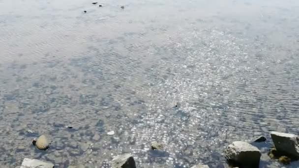 Açık ve şeffaf Repulse Bay dalgalanma, köpüklü Gölü, çakıl. — Stok video