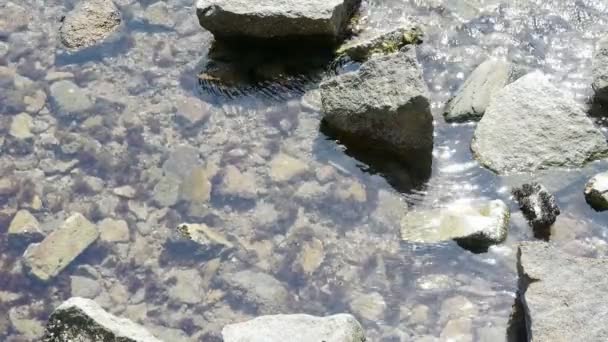 Açık ve şeffaf Repulse Bay dalgalanma, köpüklü Gölü, çakıl. — Stok video