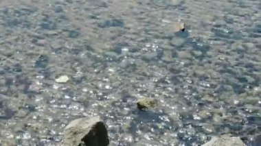 açık ve şeffaf Repulse Bay dalgalanma, köpüklü Gölü, çakıl.