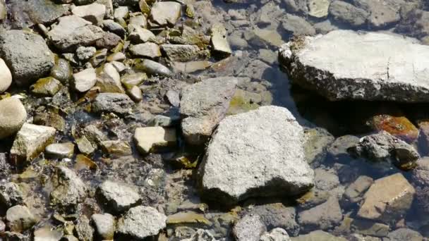 Klar & transparent abstoßen Bucht Wellen, glitzernden See, Kies. — Stockvideo