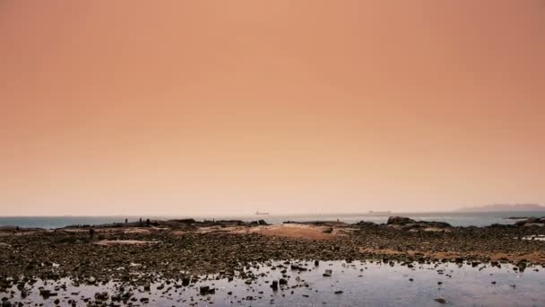 Panorâmica da praia e recife Ebb, pôr do sol, crepúsculo . — Vídeo de Stock