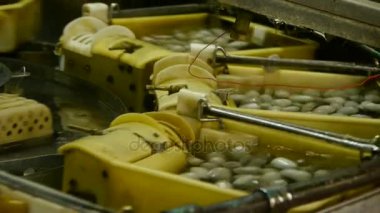 İpekböceği kozası ipek Fabrikası'nda. Atölyesinde makaralama işçi.