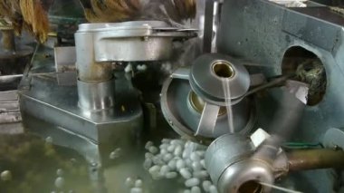 İpekböceği kozası ipek Fabrikası'nda. Atölyesinde makaralama işçi.