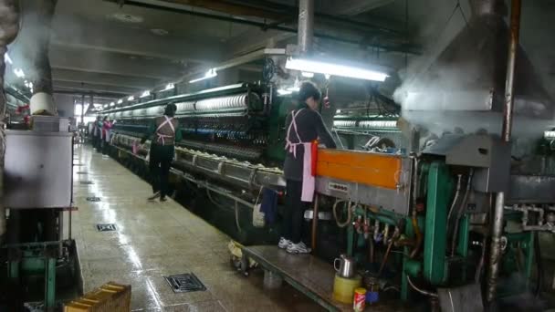 China-Oct 19,2016: Trabalhadores cambaleando em workshop.Silkworm casulo na fábrica de seda . — Vídeo de Stock