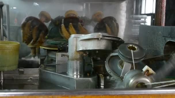 Capullo de gusano de seda en tambaleante fábrica de seda. . — Vídeo de stock