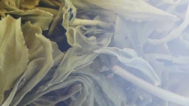 Bir fincan yeşil çay..