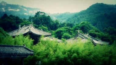 Çin antik mimari bambu ormanında.