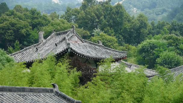 China antike Architektur im Bambuswald. — Stockvideo