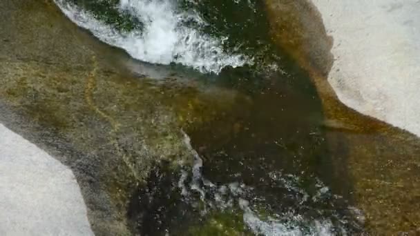 Folyó patak öblök kövek, tiszta, kis patak felett. — Stock videók