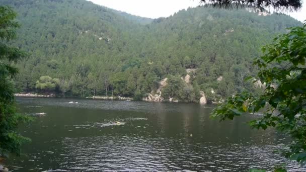 Menschen schwimmen im See mit Schwimmboje, verlassen sich auf Burgspitze, dichte Wälder. — Stockvideo