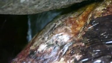 Derelerin yanında örümcek ağı örümcek ağları.