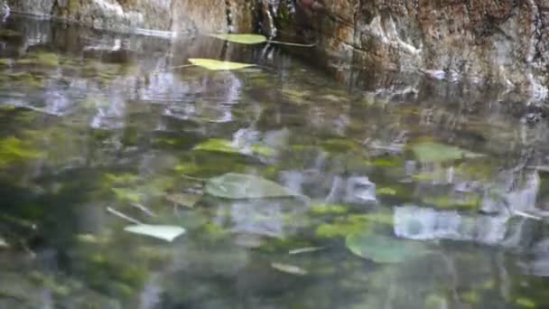 Réflexion sur l'eau, rivière ruisseau sur vallée . — Video