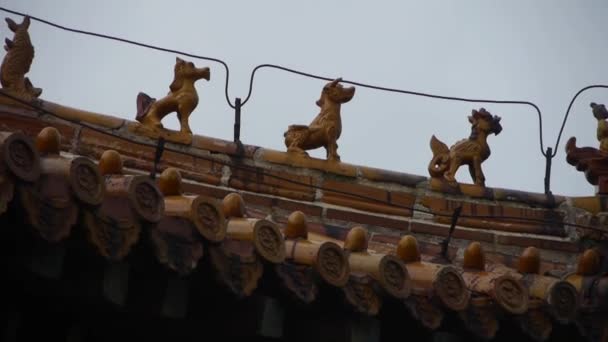 Escultura em beirados do telhado, arquitetura antiga da China. . — Vídeo de Stock