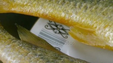 Lezzetli Croaker balığı tabakta. Balıkçılık..