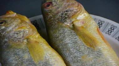 Lezzetli Croaker balığı tabakta. Balıkçılık..