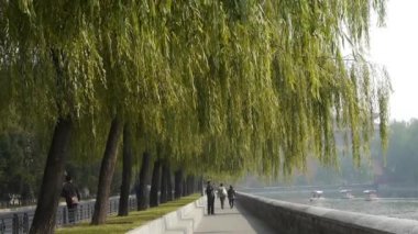 Çin-Ekim 09, nehir, göl, Pekin yasak şehir Road yatta güvenerek 2016:willow.