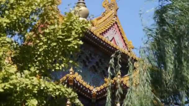 Telhado de Cidade Proibida palace.Crown de ginkgo árvore & willow.Ancient cidade Grande — Vídeo de Stock