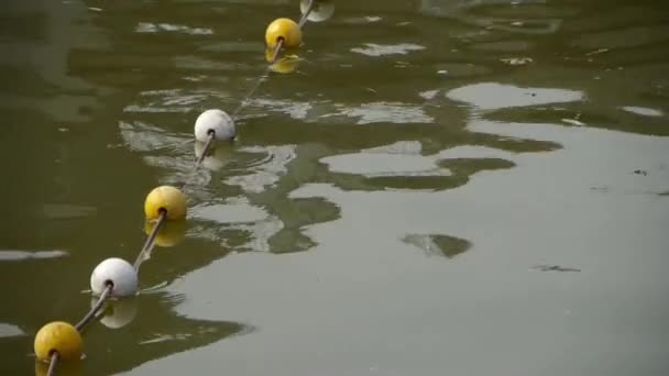 Flotte ballon sur lac.Surface de l'eau.océan de mer . — Video