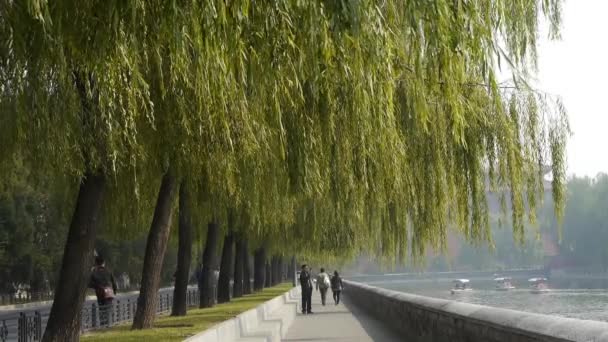 China-Oct 09,2016: willow bergantung pada sungai, kapal pesiar di danau, Jalan Kota Terlarang di Beijing . — Stok Video