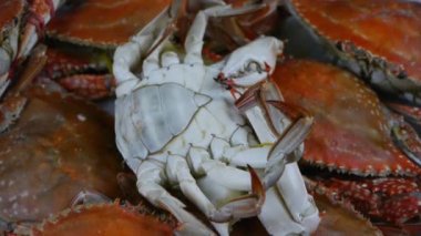 Çevirmeli plaka içinde nefis yengeç. Donmuş balıkçılık buzu..