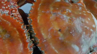 Çevirmeli plaka içinde nefis yengeç. Donmuş balıkçılık buzu..