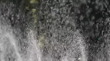 Ormanda çim suyu spreyi, arka planda güneş yağmuru, arka planda damlacıklar..