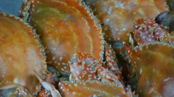 餐盘里的蟹很好吃。渔业冰块结冰了. — 图库视频影像