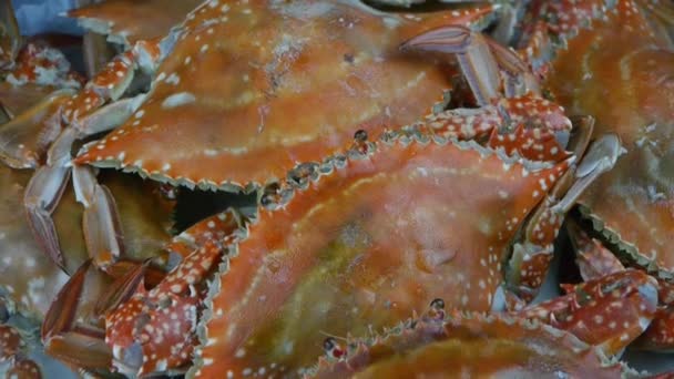 餐盘里的蟹很好吃。渔业冰块结冰了. — 图库视频影像