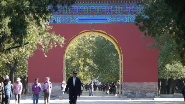 Çin-Ekim 16, 2016:Asian insanlar yürüyüş selvi ağaçları Park, Çin Pekin kırmızı kapı eski bina — Stok video